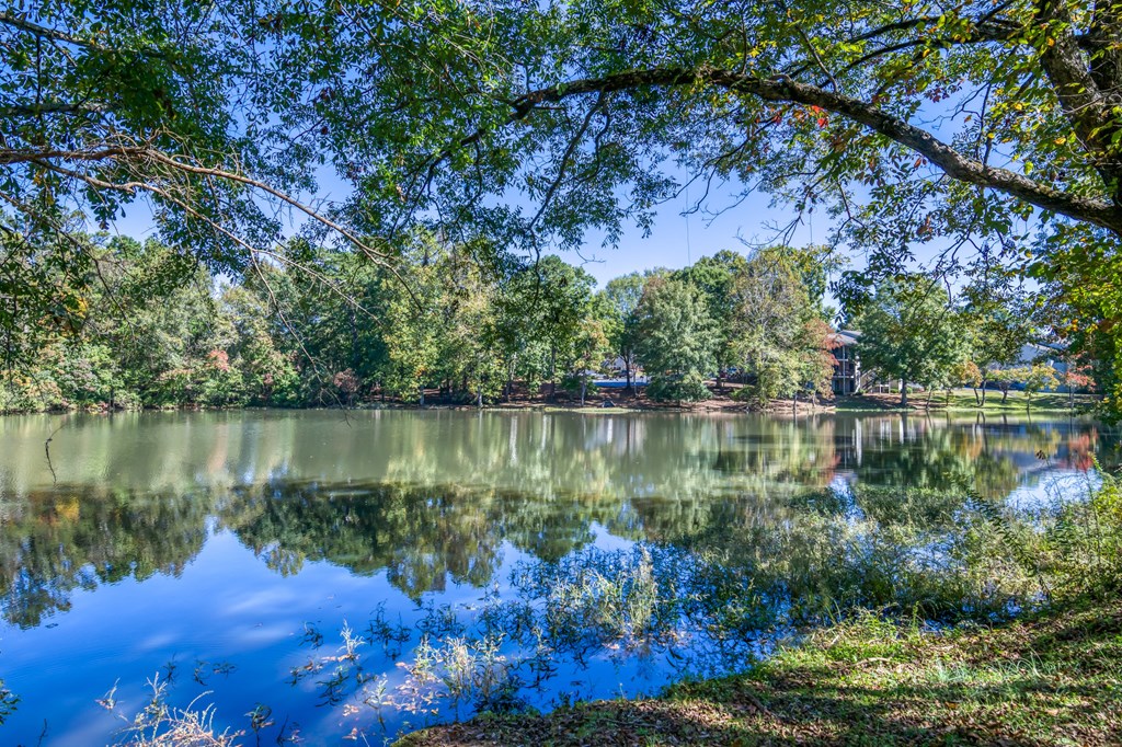 Pond view 1 auburn