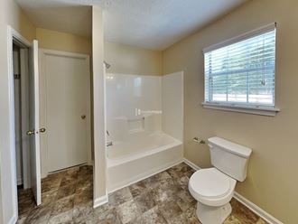 a bathroom with a toilet and a bathtub