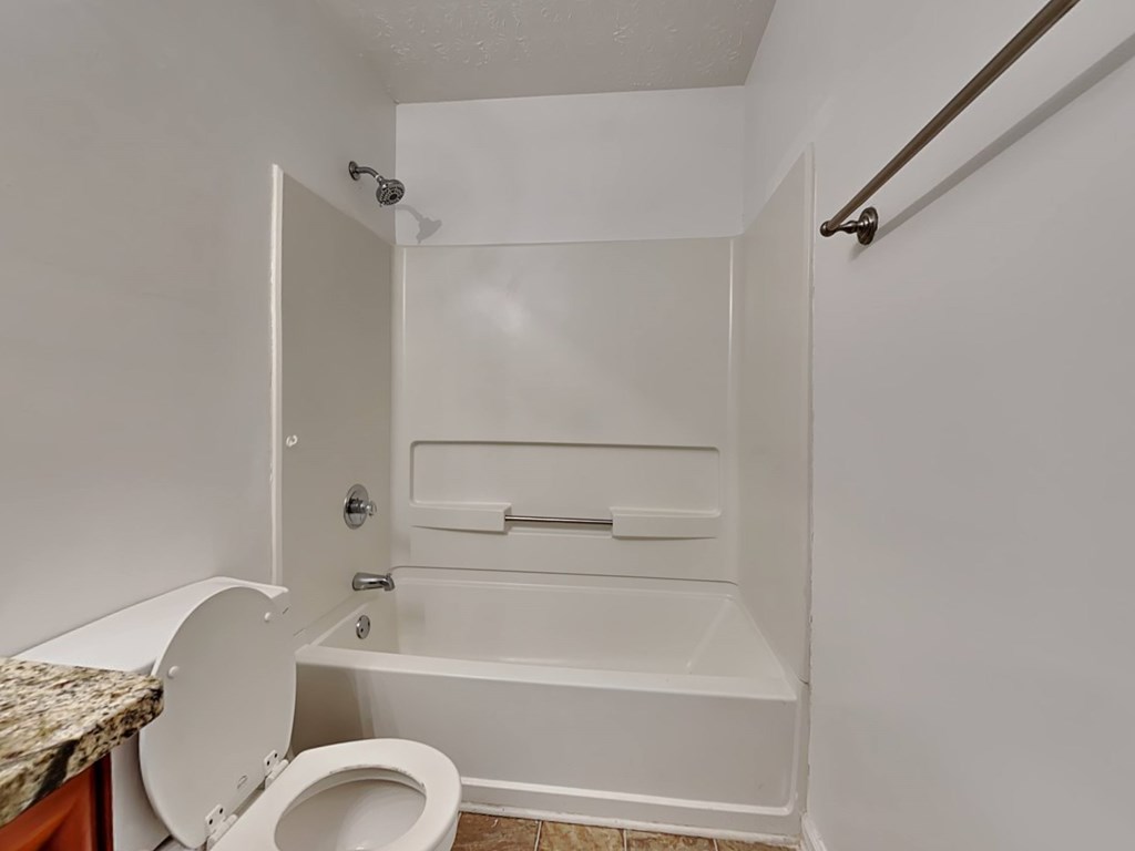 a bathroom with a toilet and a bath tub