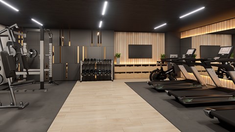 A modern gym with treadmills, weights, and a flat screen TV.