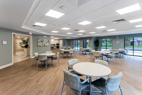 A room with tables and chairs and a plant in the corner.