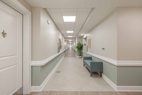 A long hallway with a bench and a plant.