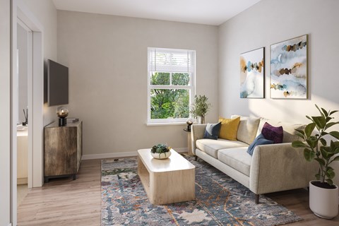 A living room with a couch, a coffee table, and a rug.