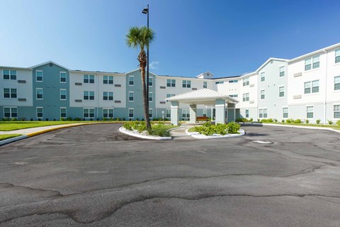 A palm tree stands in front of a white and blue building.