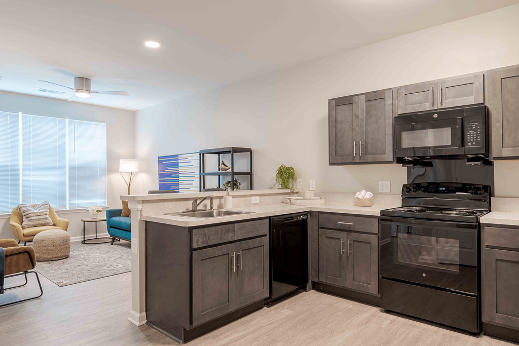 A modern kitchen with black appliances and a marble countertop at Sweetwater Point in Douglasville, GA