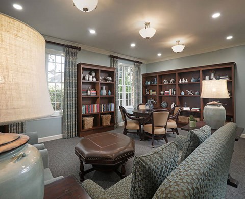A living room with a couch, ottoman, and bookshelves.