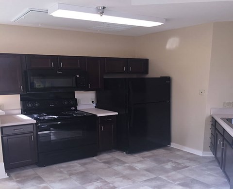 A kitchen with black appliances and cabinets.