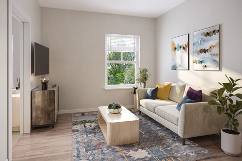 A living room with a couch, a coffee table, and a rug.