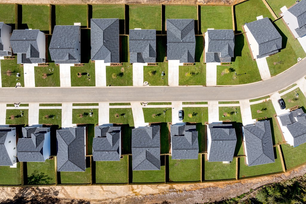a aerial view of a row of houses with roofs
