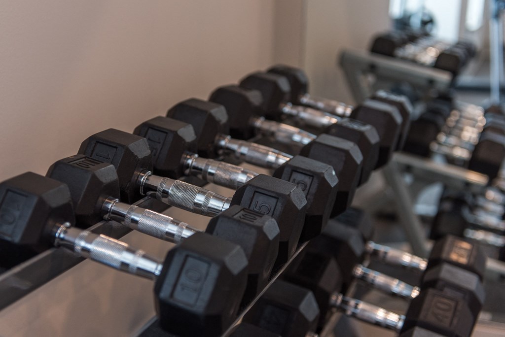 a row of dumbbells in a gym at The Whitworth, Williamsburg, Virginia