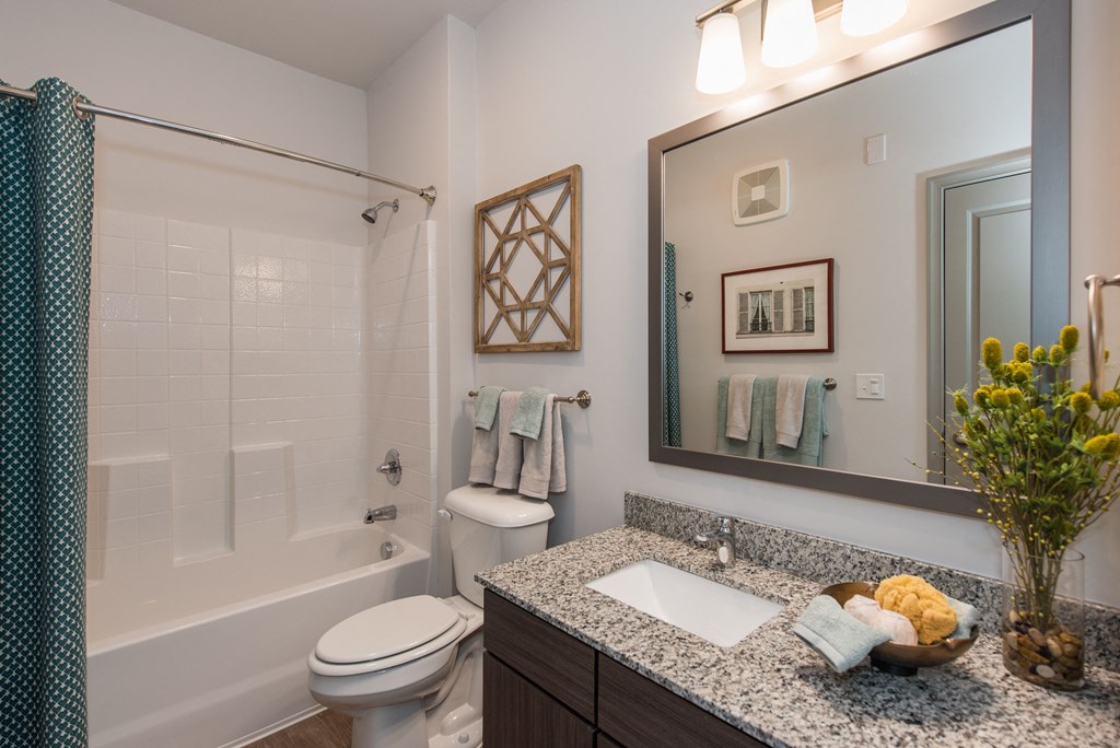 a bathroom with a large mirror and a toilet next to a bathtub at The Whitworth, Williamsburg, Virginia