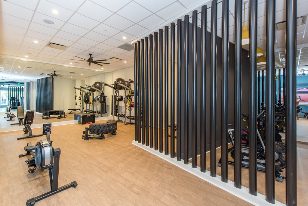 the gym is equipped with a variety of exercise machines and weights