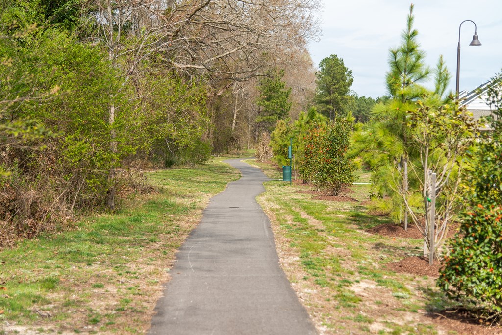 a path in a park with trees on both sides of the path at The Whitworth, Williamsburg, VA, 23185