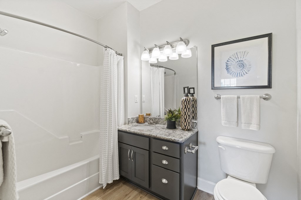 A bathroom with a white toilet, a sink with a marble countertop, and a shower with a white curtain at Saltmeadow Bay, Virginia Beach