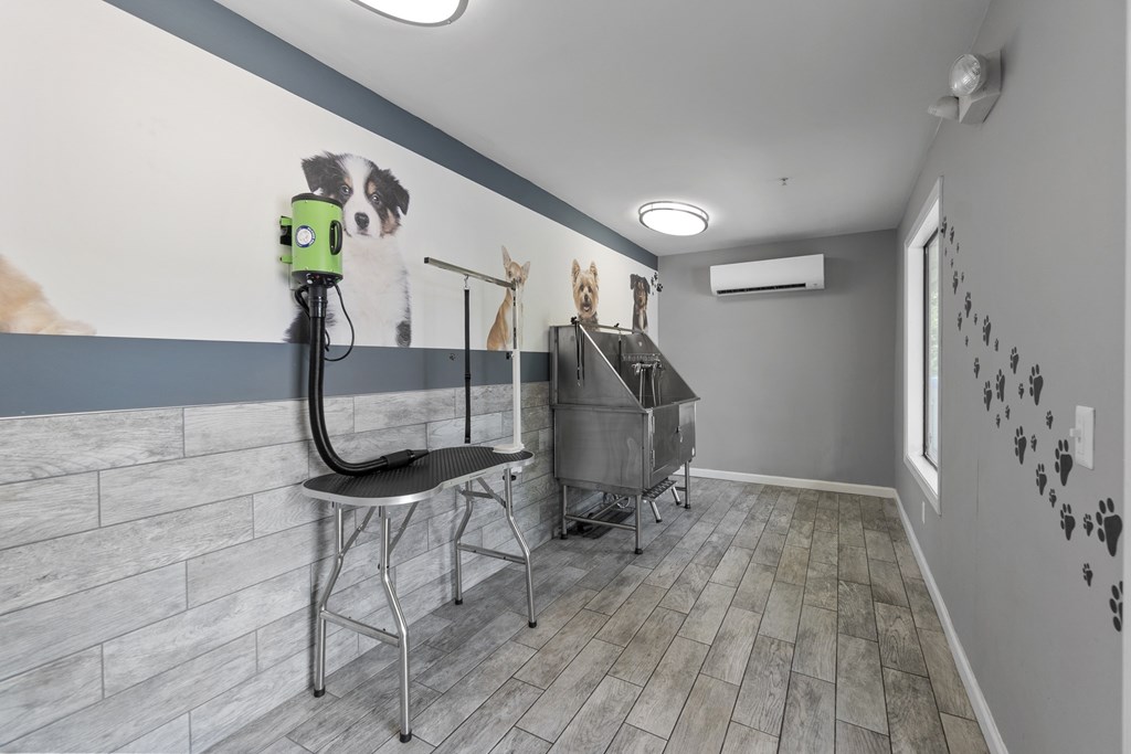 A room with a grey wall and a picture of a dog on it