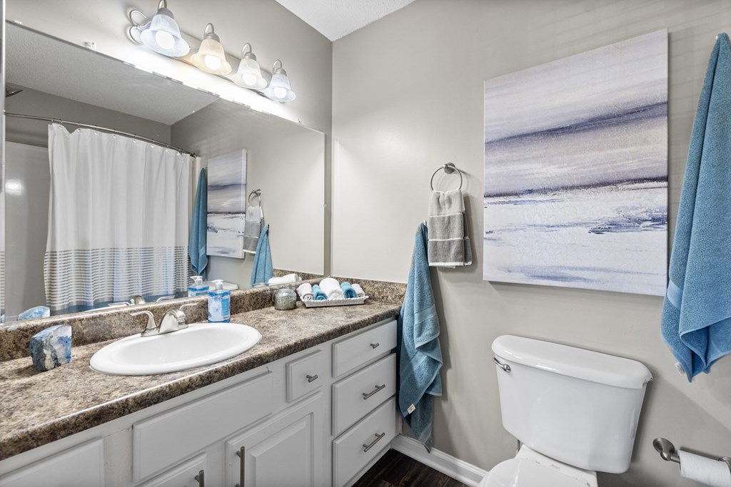 A bathroom with a white toilet, a sink, and a mirror
