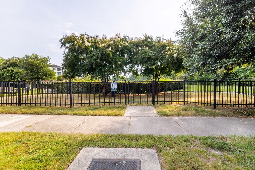 A black metal fence surrounds a tree-filled area at Streets of Greenbrier, Chesapeake, 23320