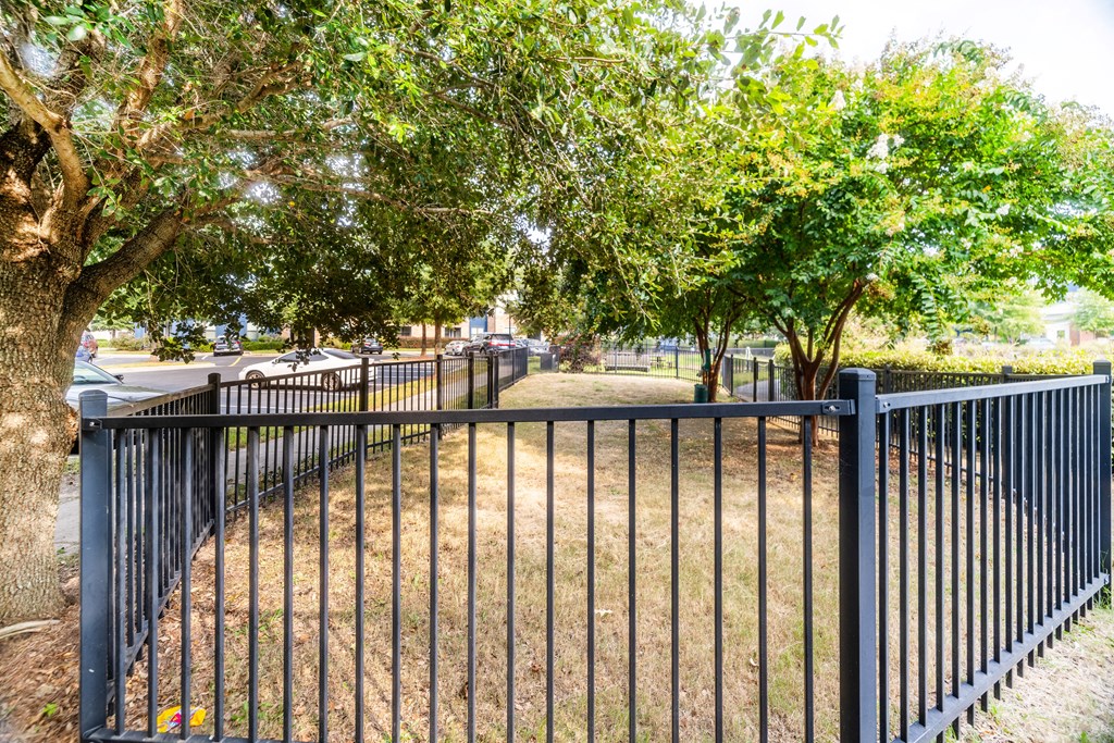 A black metal fence with a tree behind it at Streets of Greenbrier, Chesapeake, VA