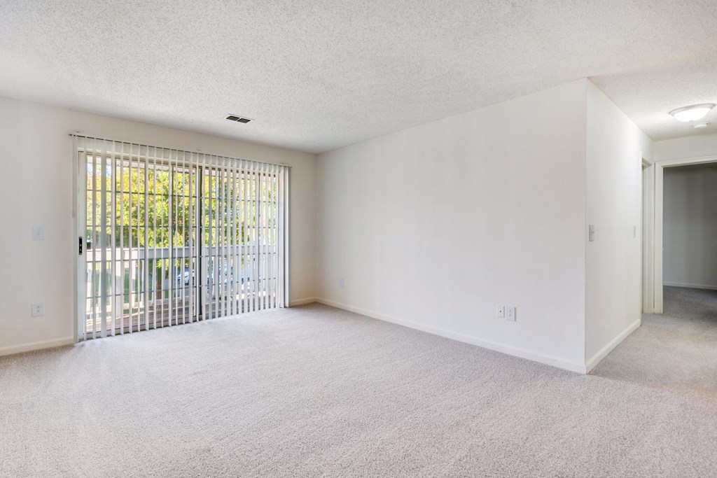 A room with a white wall and a carpeted floor.
