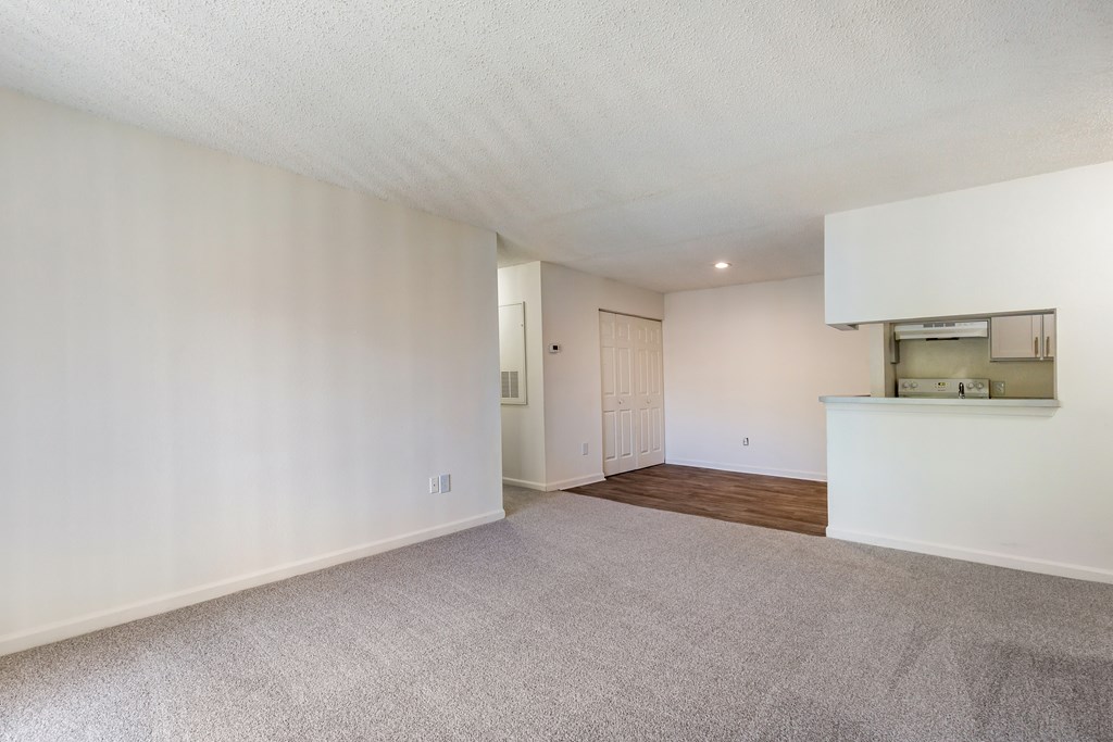 A spacious room with a carpeted floor and a door in the background.