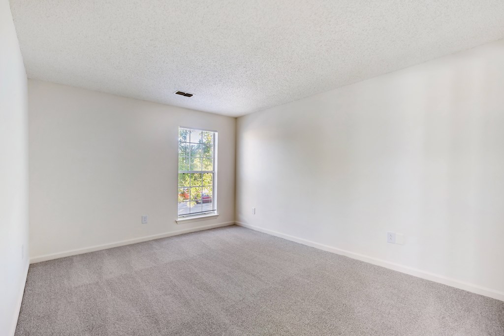 A room with a carpeted floor and a window showing a tree outside.