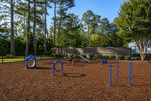 A playground with a blue swing set and a red slide.