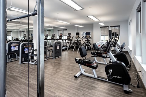 A gym with a variety of equipment including treadmills and weights.