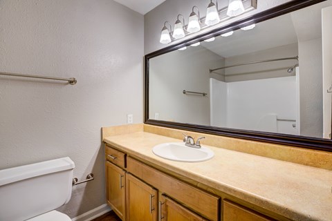 A bathroom with a sink, mirror, and toilet.