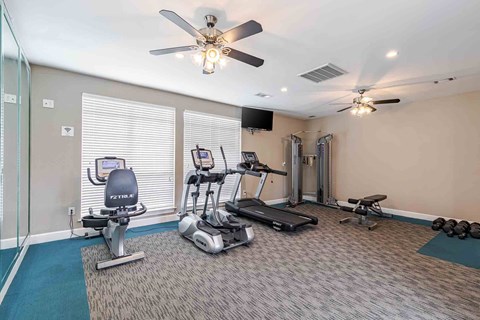 A home gym with a variety of equipment including a treadmill, stationary bike, and weights.