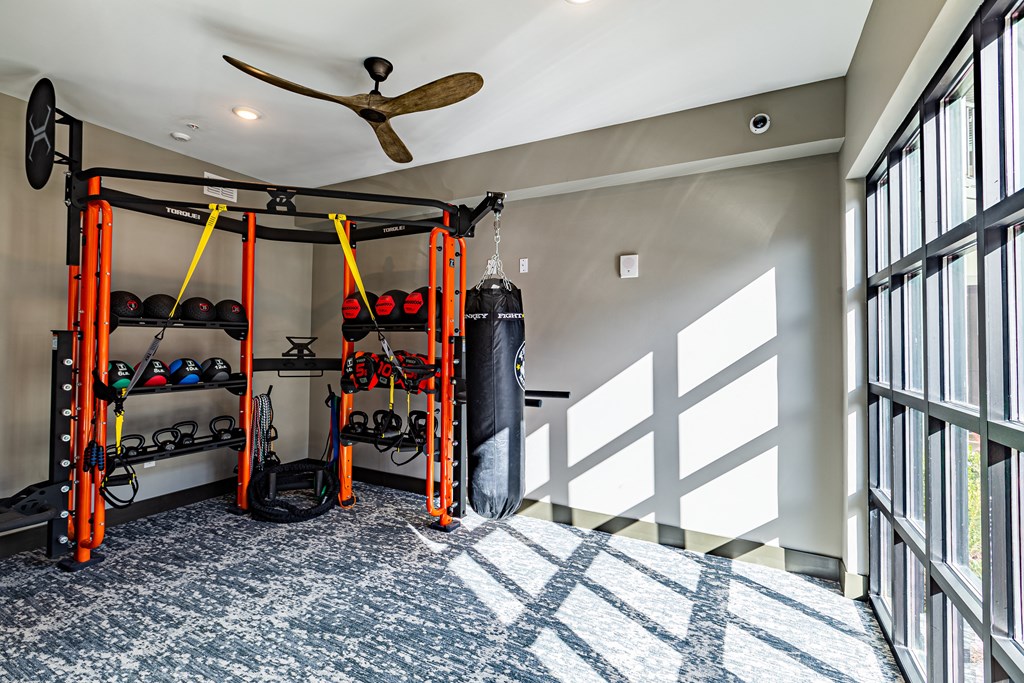 a fitness room with a wall of windows and a rack of fitness equipment at The Louis Apartment Flats, Louisville, KY, 40241