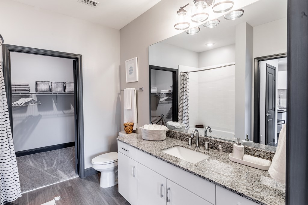 a bathroom with a sink and a mirror and a toilet at The Louis Apartment Flats, Louisville, KY, 40241
