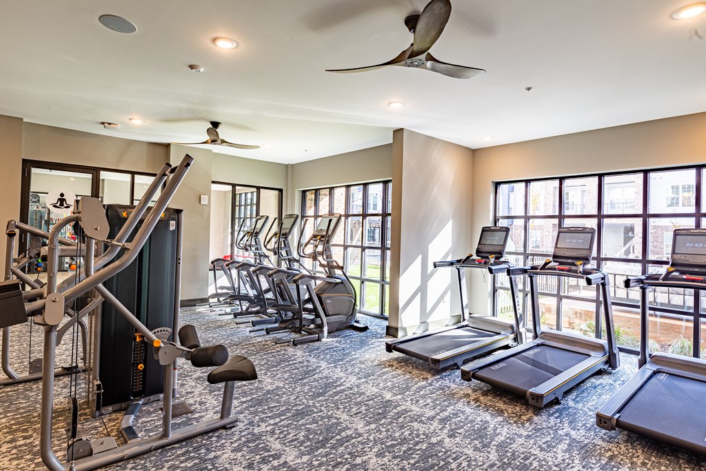 a gym with cardio machines and weights in a room with windows at The Louis Apartment Flats, Kentucky