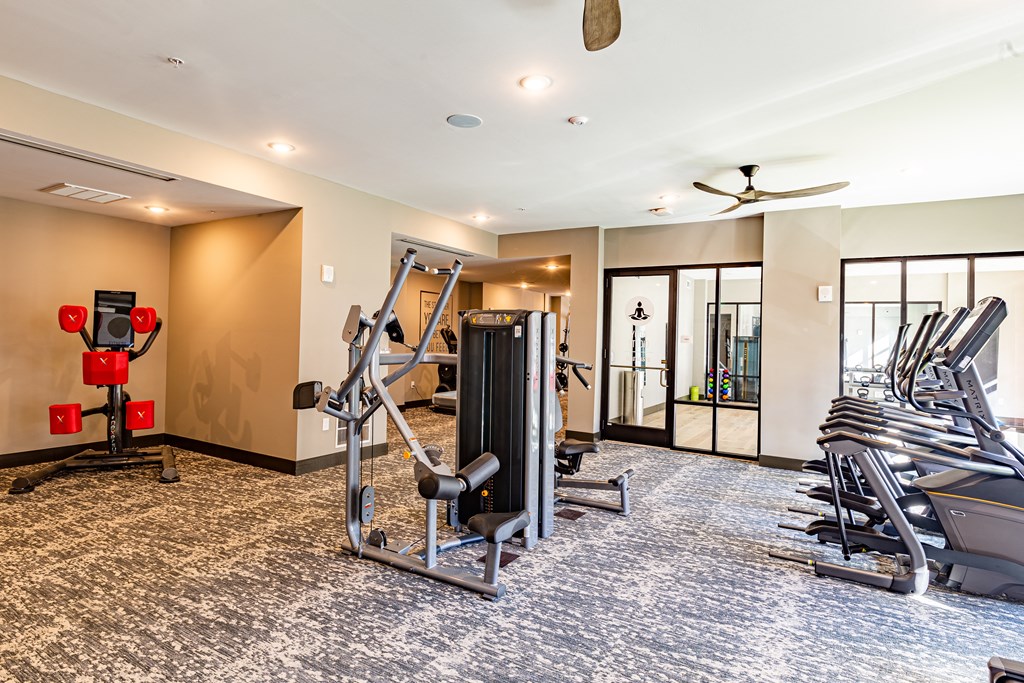 the gym has plenty of cardio equipment and treadmills at The Louis Apartment Flats, Louisville, Kentucky