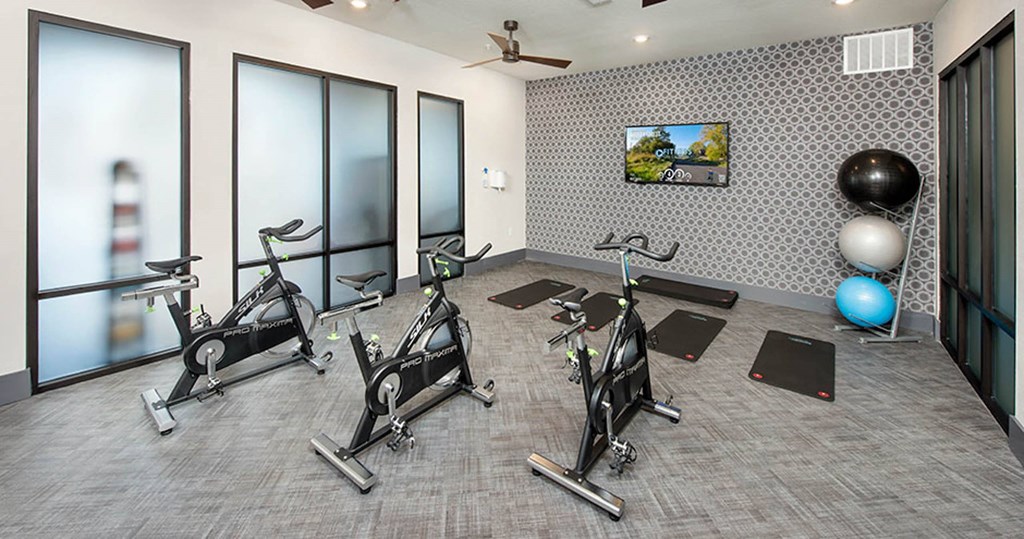 a gym with treadmills and exercise balls on the floor