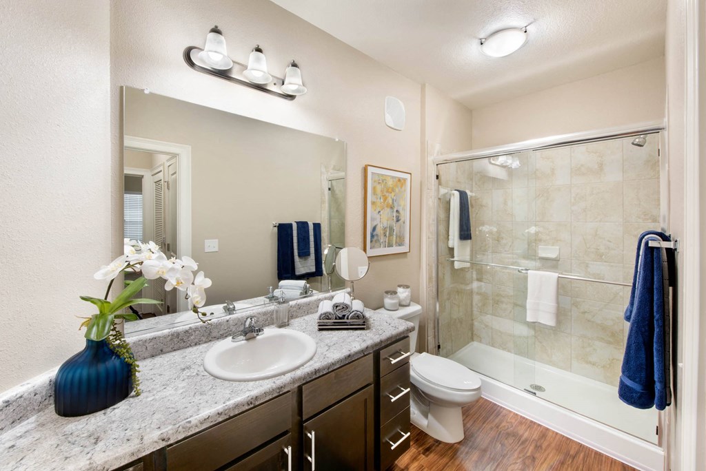 a bathroom with a shower and a sink and a toilet