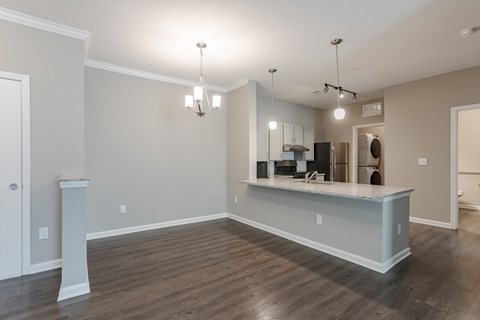 A kitchen area with a counter and cabinets.