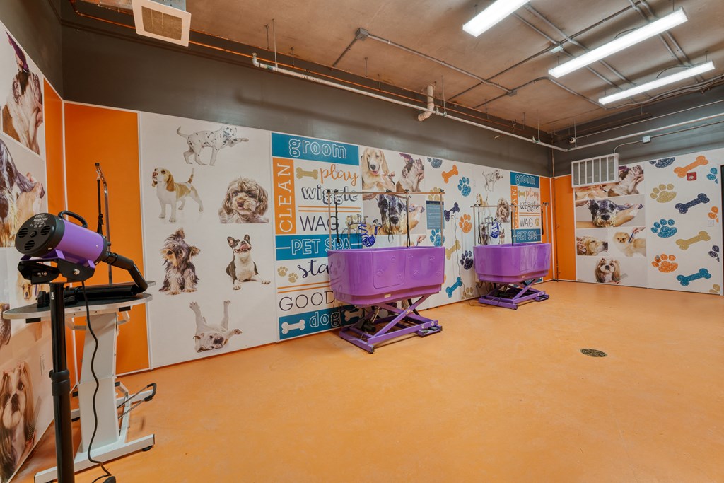 a large room with a mural of dogs on the wall and two purple baths in at Lyric at Norton Commons Apartments, Prospect, 40059