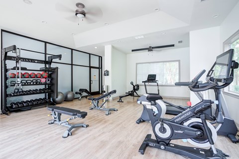 A spacious home gym with a variety of equipment including a stationary bike, a rowing machine, and a weight rack.