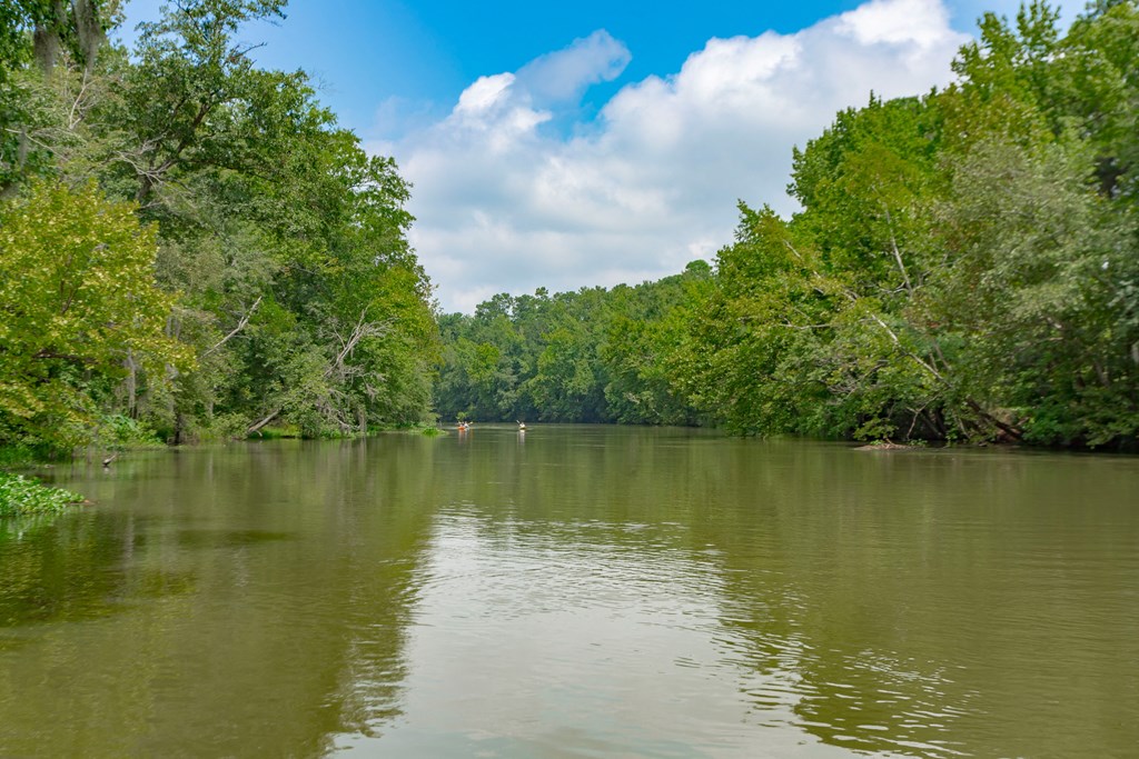 the river with trees on both sides and a blue sky with white clouds at Residence at Riverwatch, Georgia