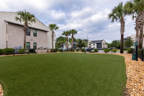 A grassy area with a building and palm trees in the background.