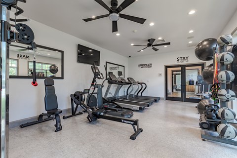 A gym with a variety of equipment including treadmills, weights, and a mirror.