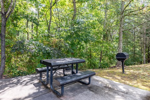 Picnic table and bench in a wooded area.