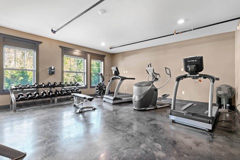 the gym is equipped with treadmills and other fitness equipment