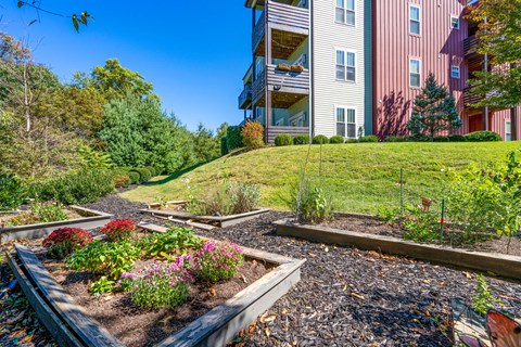 A garden with a variety of plants and flowers in the foreground with apartment buildings in the background.