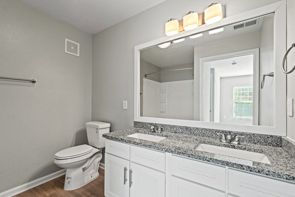 a bathroom with a sink and a toilet and a mirror at SomerHill Farms Apartments, Gainesville Virginia