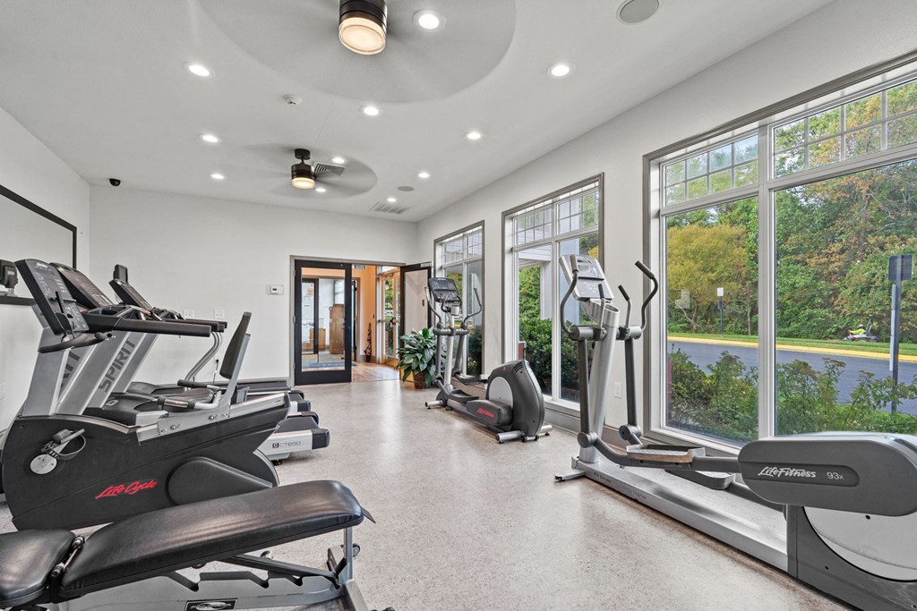 the gym has plenty of cardio equipment and large windows at SomerHill Farms Apartments, Gainesville, VA