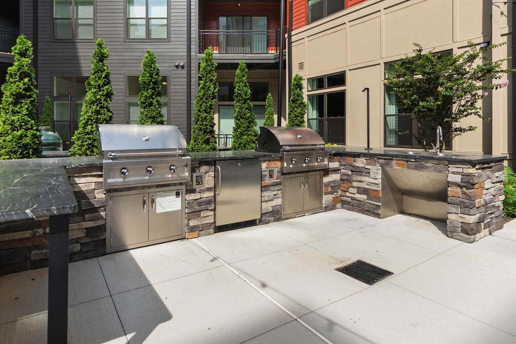 an outdoor kitchen with two grills and a sink at Tapestry West, Virginia