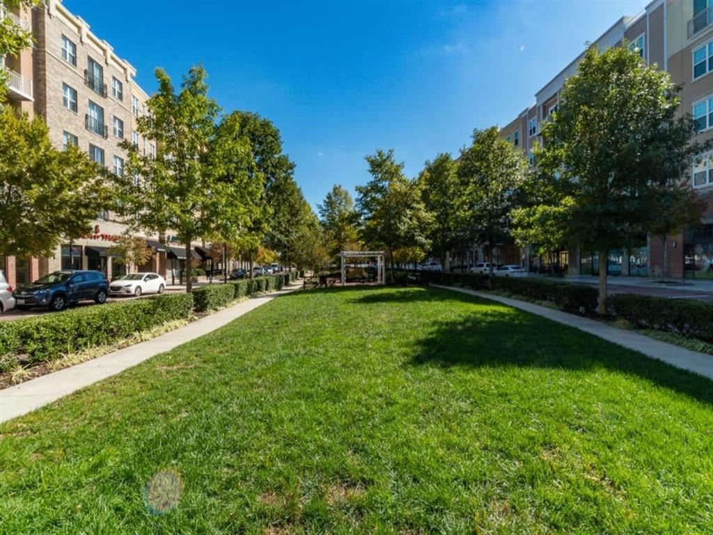 a grassy area with trees and buildings in the background at Flats at West Broad Village, Glen Allen 