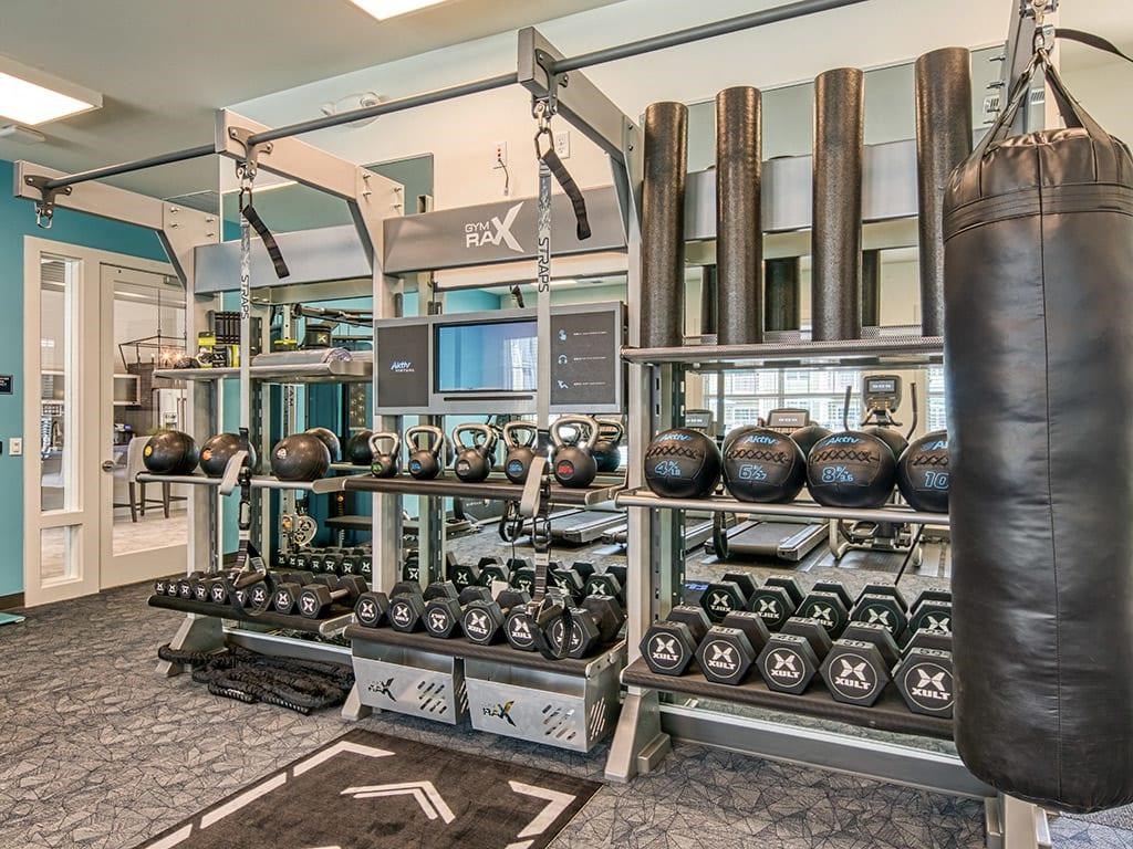 Fitness Center With Modern Equipment at Sapphire at Centerpointe, Midlothian, VA, 23114