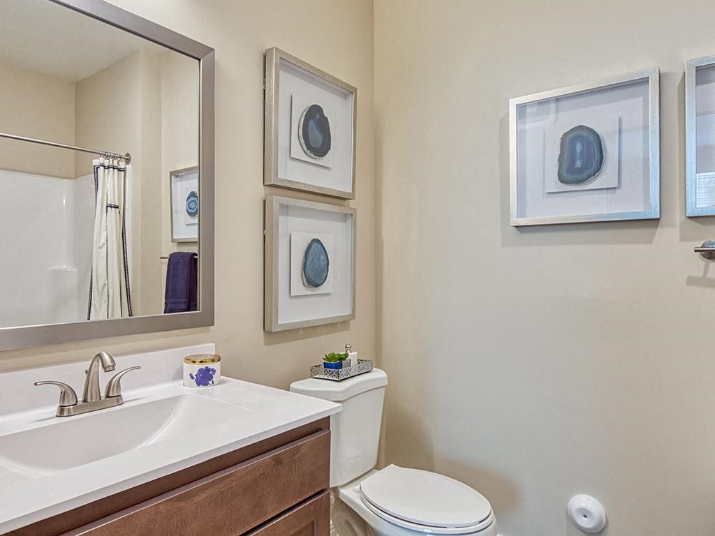 a bathroom with a toilet sink and mirror  at Sapphire at Centerpointe, Virginia